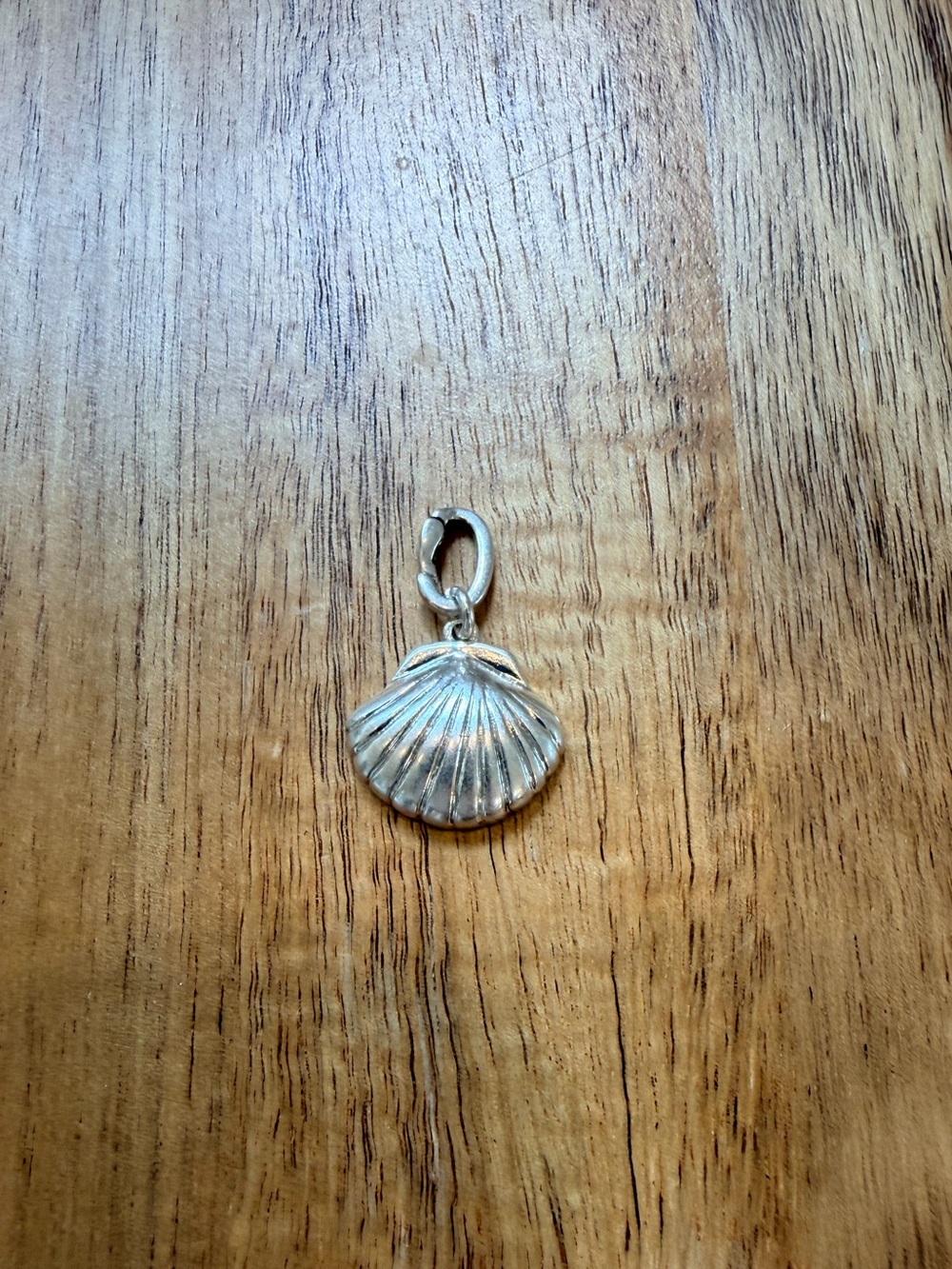 Clare V Sea Shell Charm